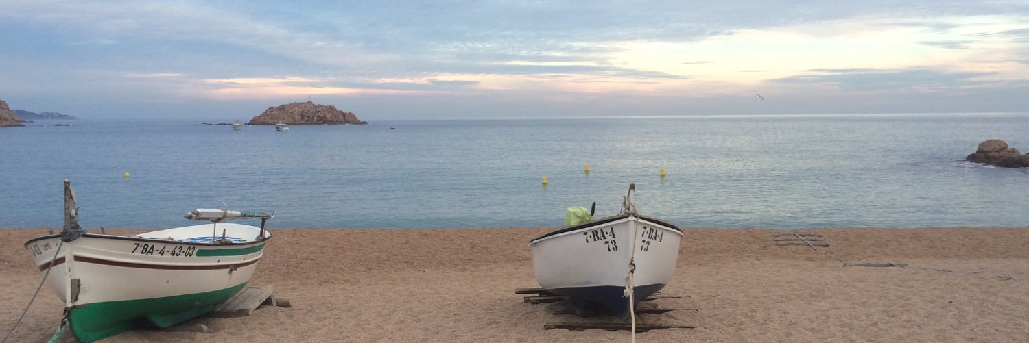 Antoni Garrell Guiu banner