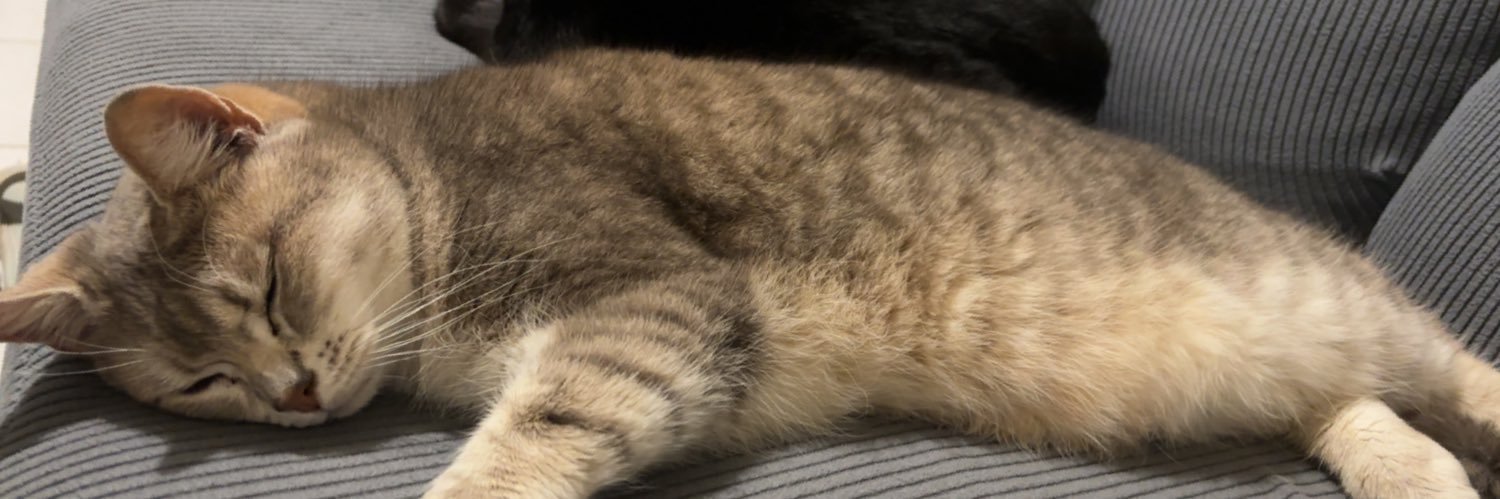 Camiillemrc's profile banner image