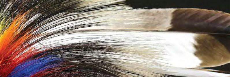 CMU Indigenous Affairs banner