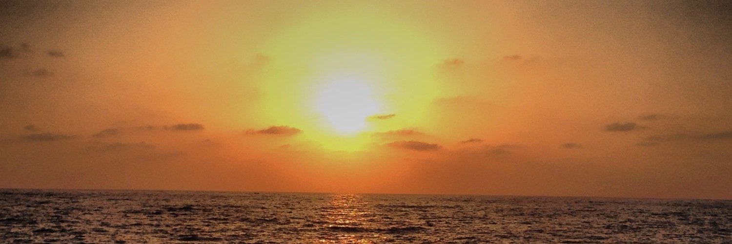 missMirele's profile banner image