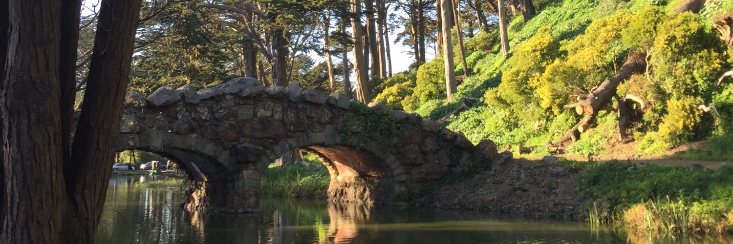 Lori Sitrin 🟧 banner