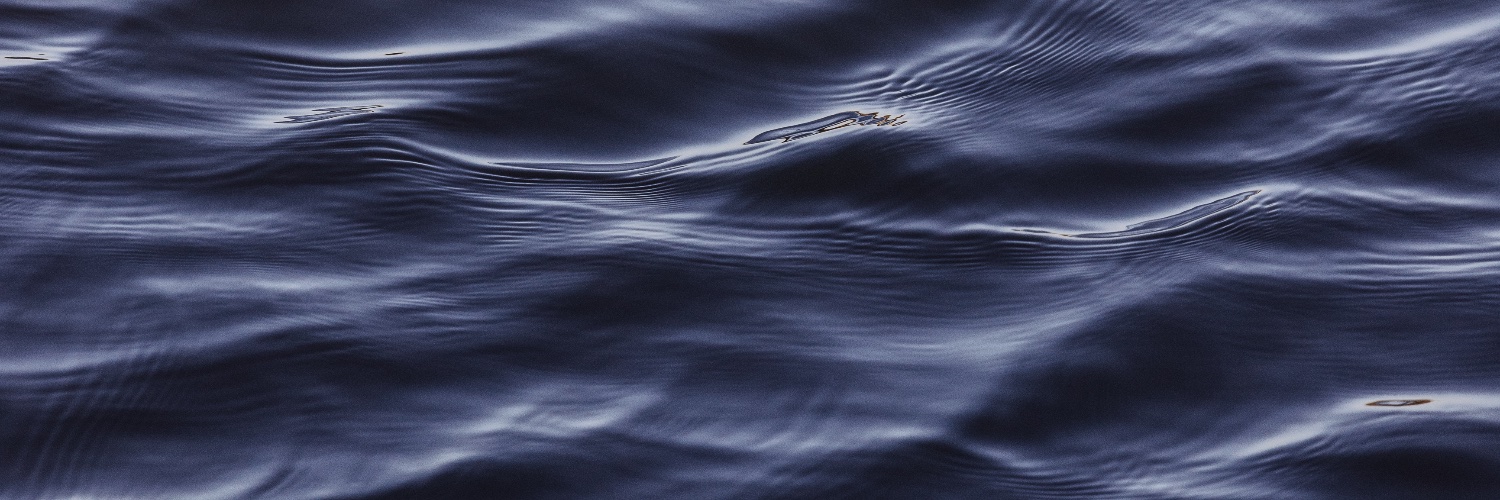 Rémy Harretche banner