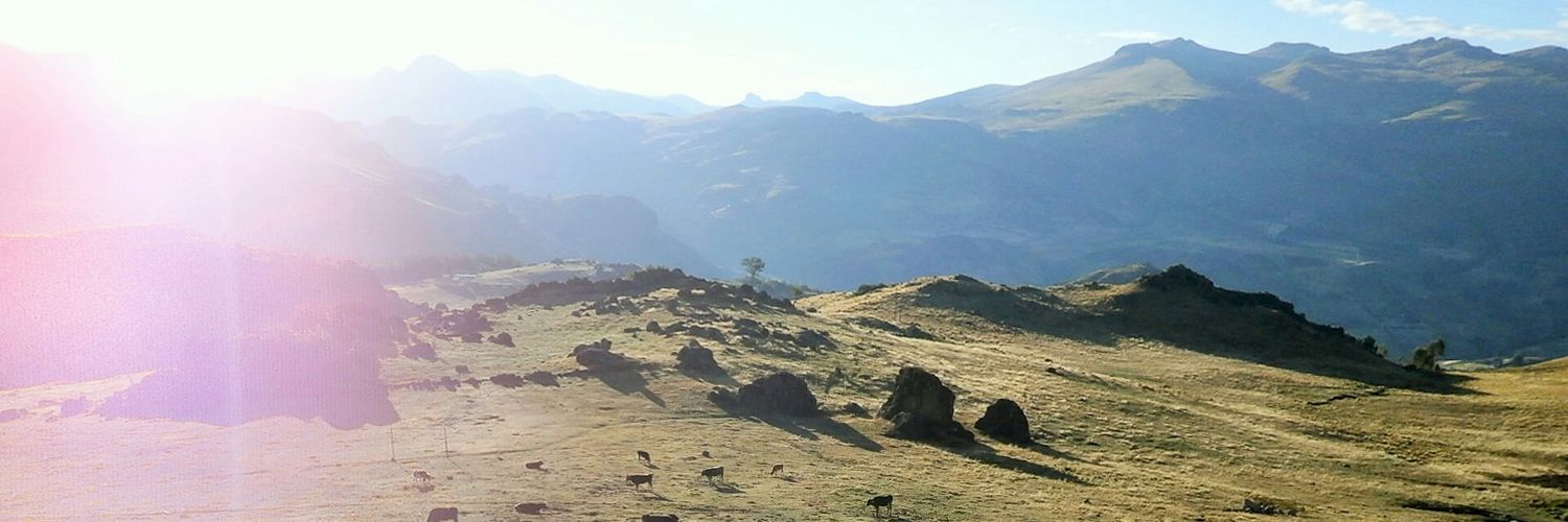 OberSanchez's profile banner image