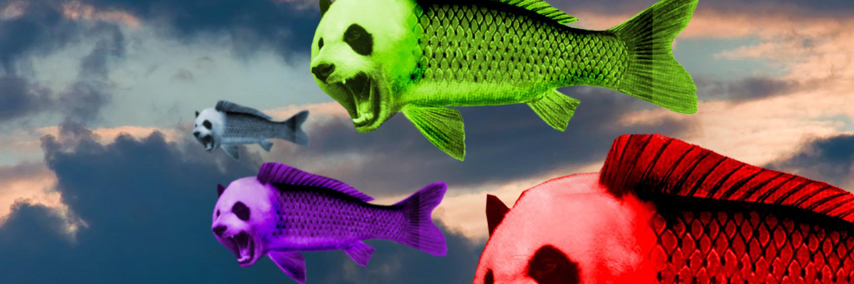 Monallumette's profile banner image