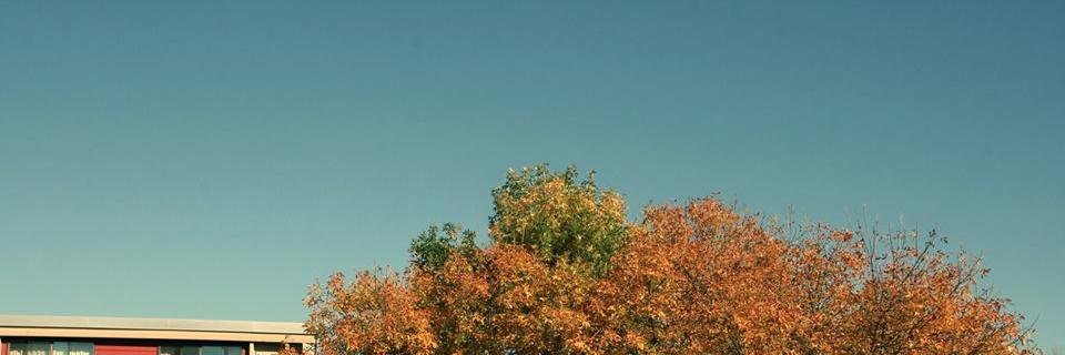 MarsIndiana's profile banner image