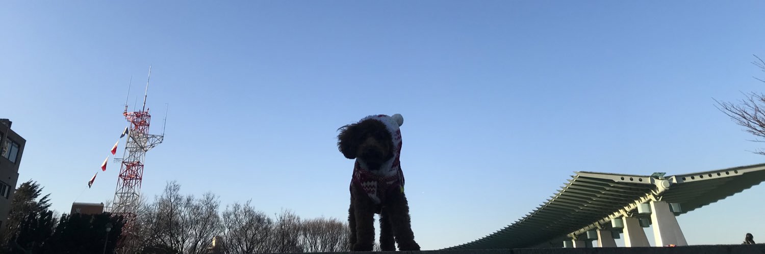 saaae__b's profile banner image