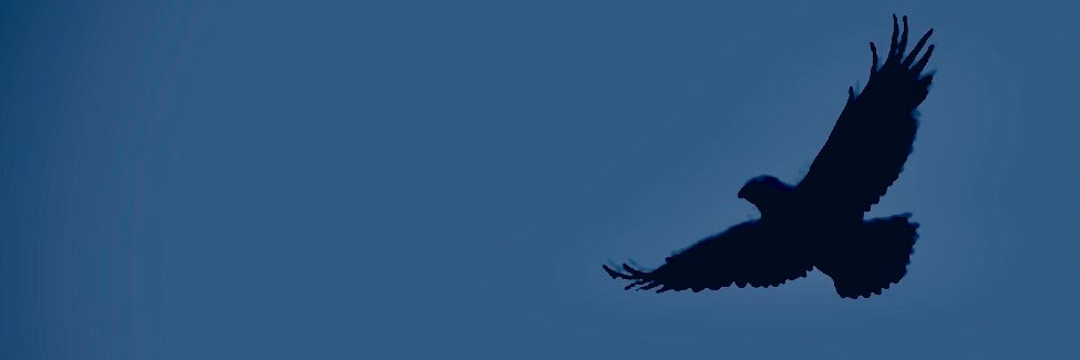 99____mm's profile banner image