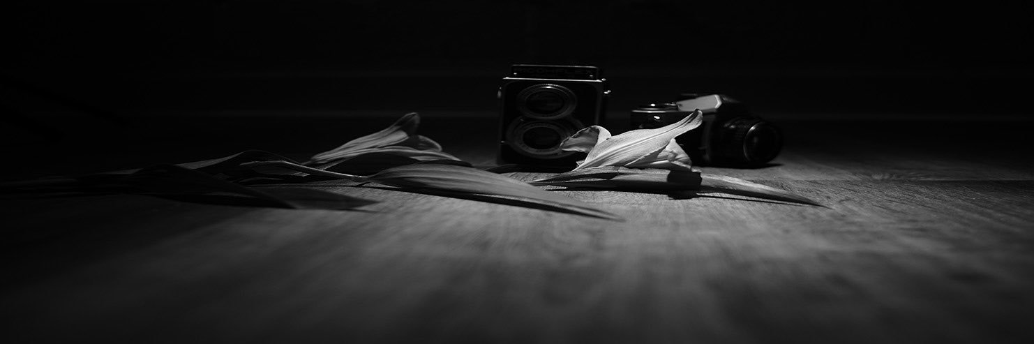 Kid Khaos 🦊 banner