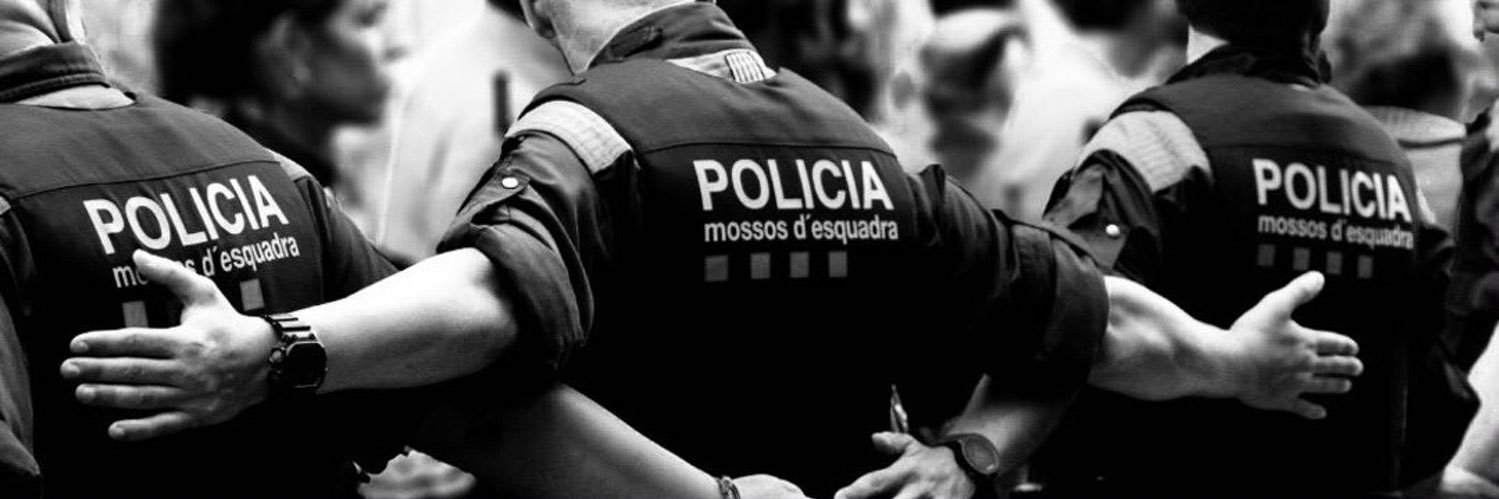 catmossos's profile banner image