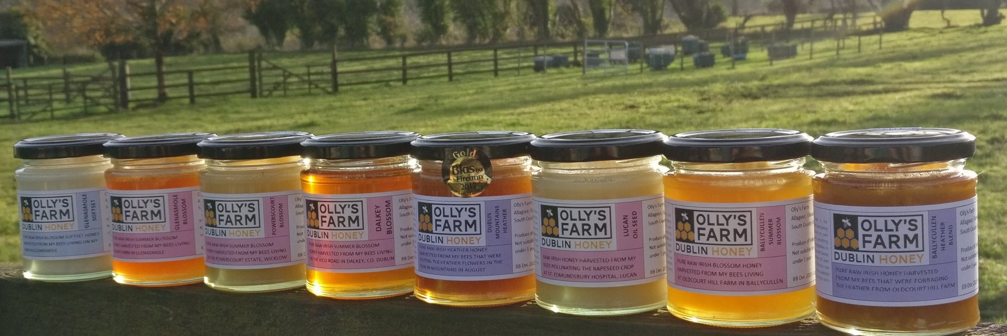 Olly's Farm | Honey Farm 🇮🇪 banner