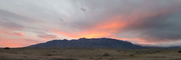 RADicalRob505 Profile Banner