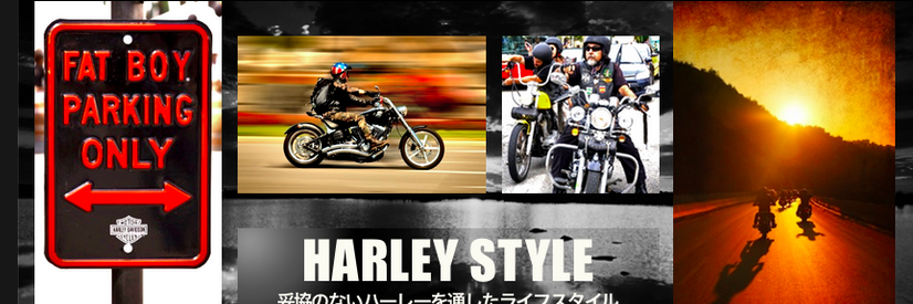 harleystyle_'s profile banner image