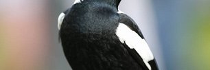 C0nfidentGeek's profile banner image