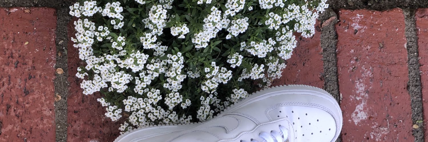 Yarkski's profile banner image