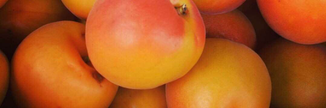 TacomasMarkets's profile banner image