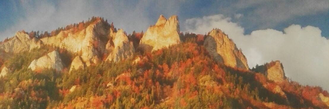 andrzejer56's profile banner image