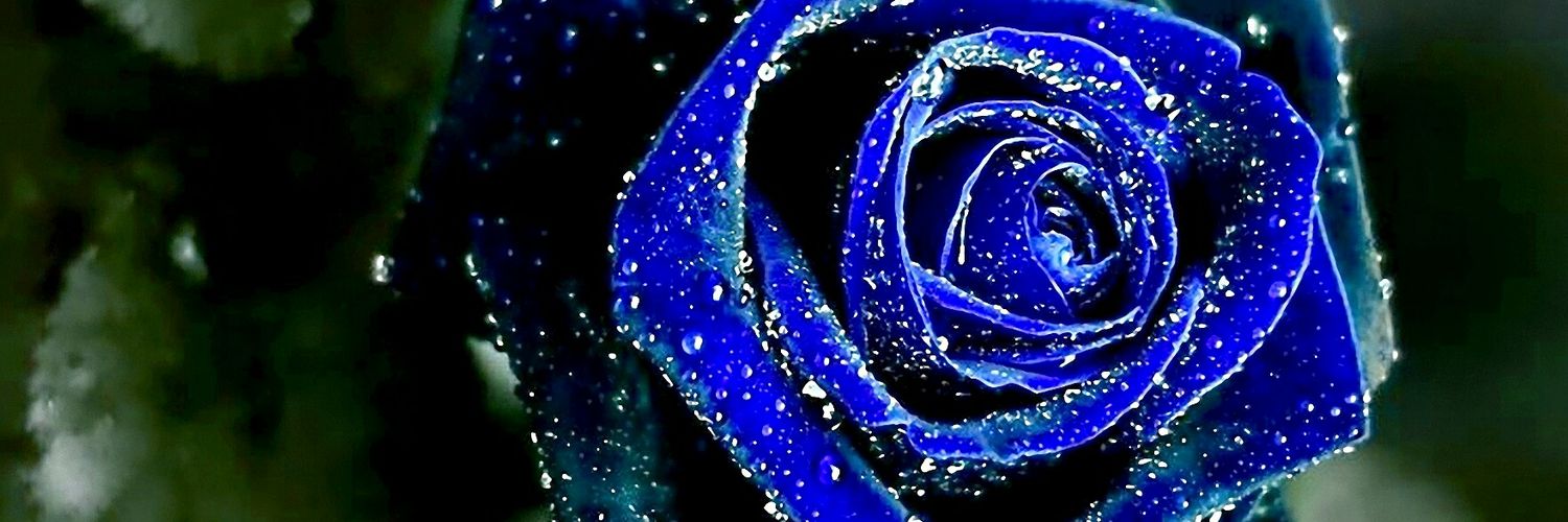 TheEternalGirl's profile banner image