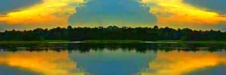 𝔏𝔢𝔫𝔦𝔫𝔥𝔞.🇧🇷🐾🐾🎵🇧🇷 banner