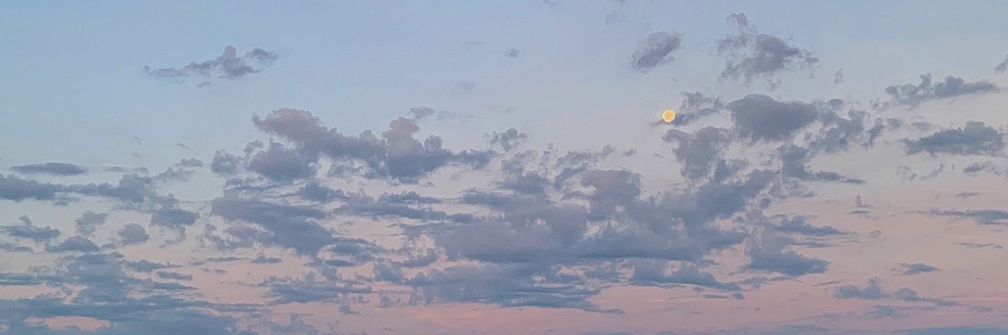haileyyx8's profile banner image