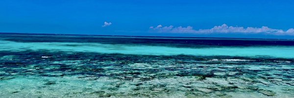 coreanalysis Profile Banner