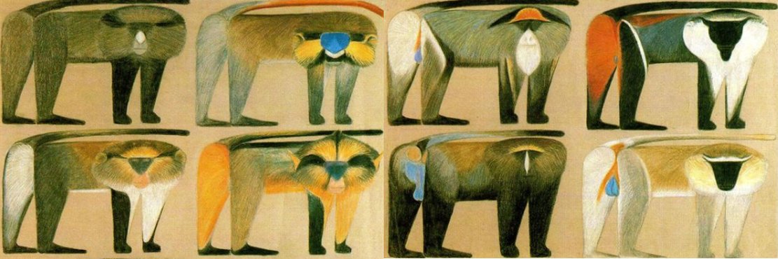 Sandra Winters banner