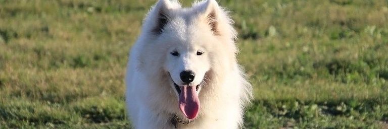 halp363's profile banner image