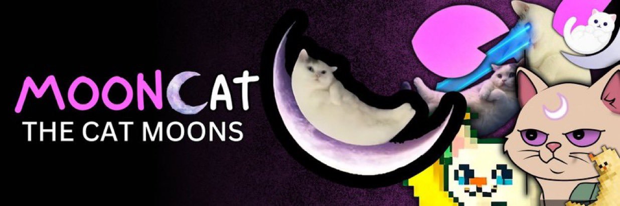 Bepo WettyFap🌙🐱's banner