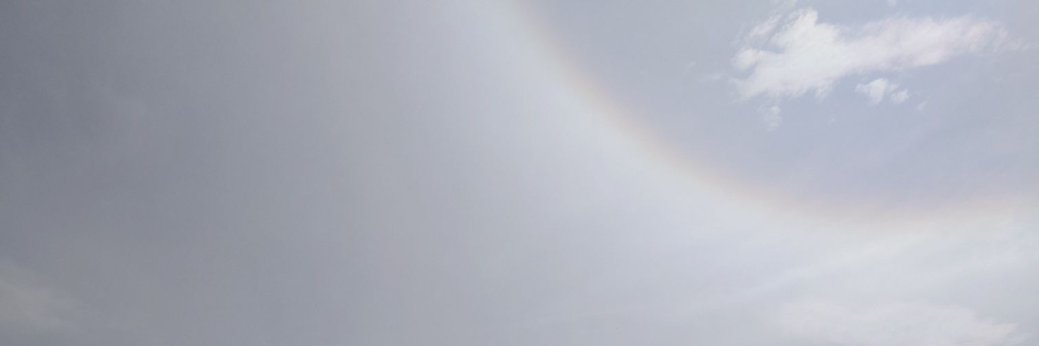 たかぷりん王令Ｓ２ banner