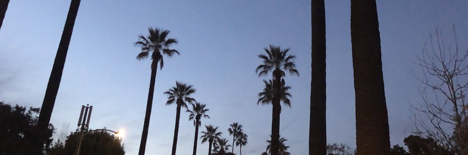 stevewagner_'s profile banner image