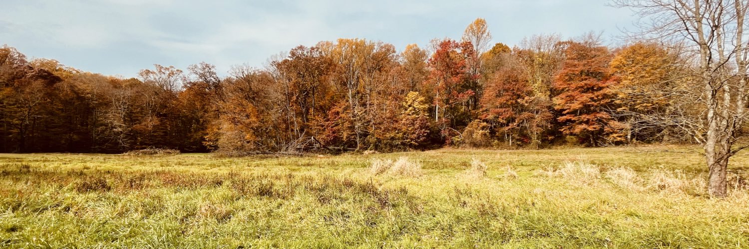 This site sucks now banner
