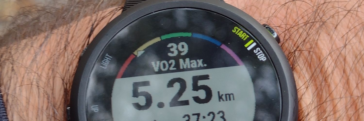 Pablo Cañada banner