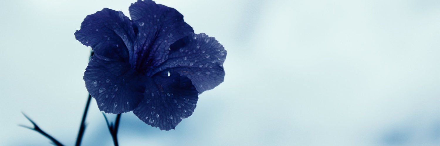 _sianasada's profile banner image