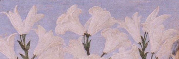 sleepingchlld's profile banner image