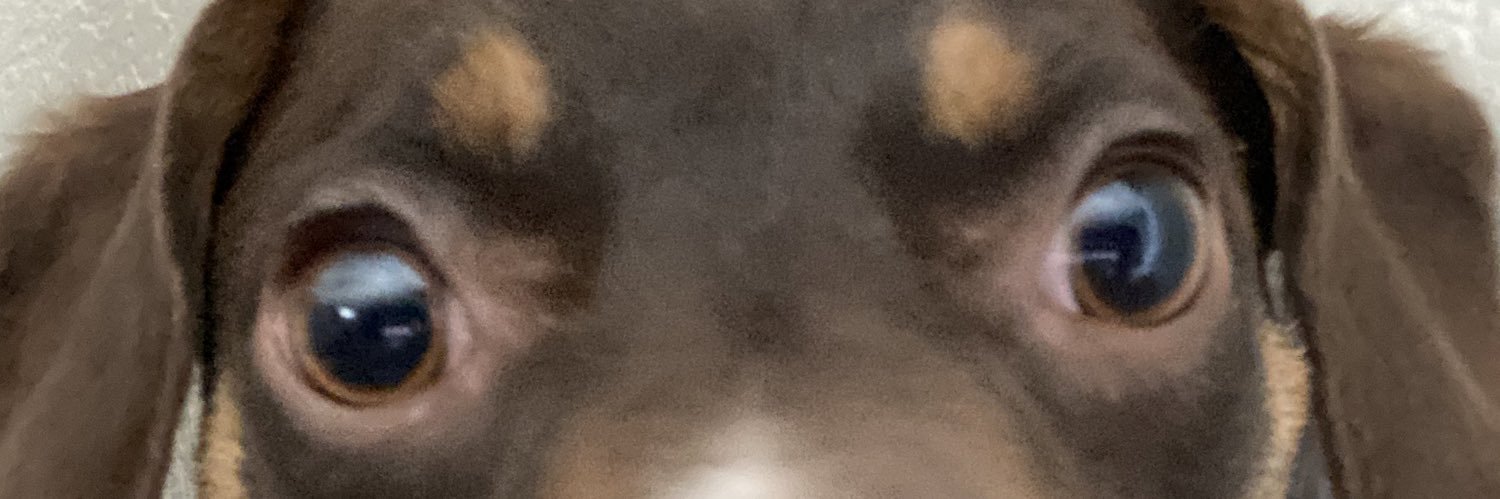 Jason_M_Acosta1's profile banner image