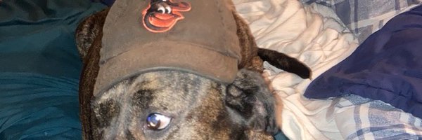 SquillPlays Profile Banner