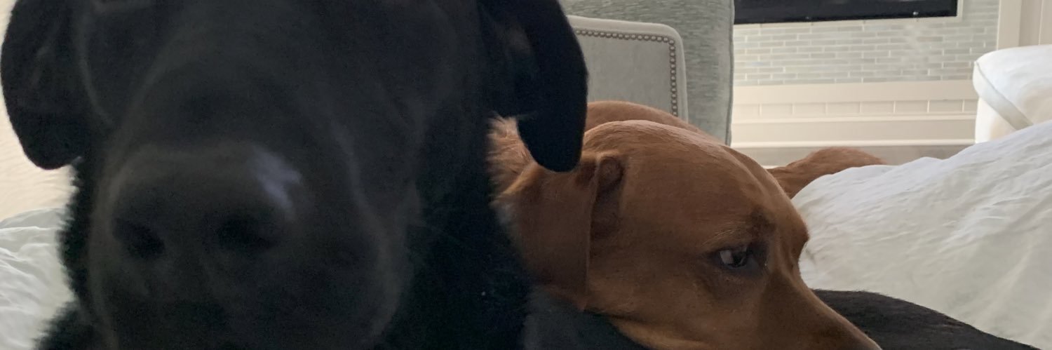 Logan Domas banner