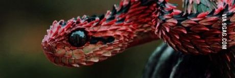 rafademaria_'s profile banner image