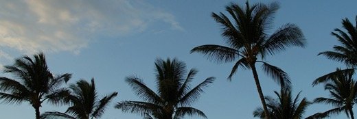 realWST's profile banner image