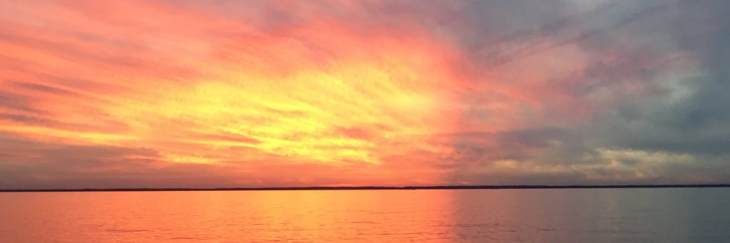 D_Macander's profile banner image