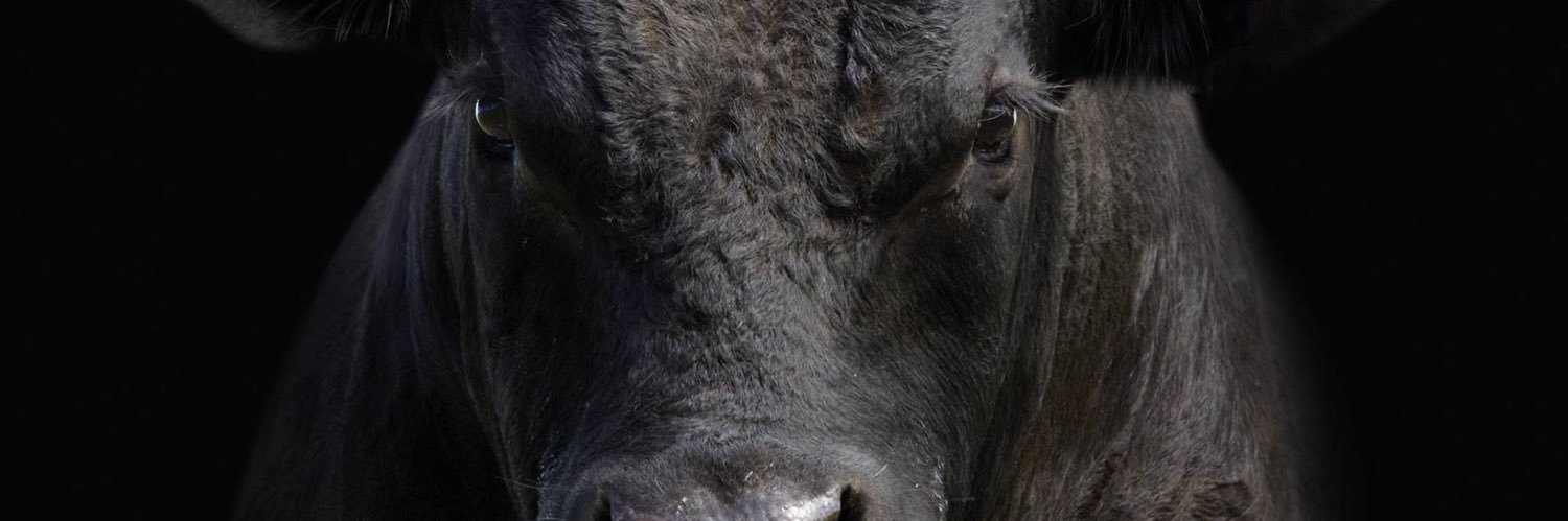 Campo Ganadero | Tranqueron banner