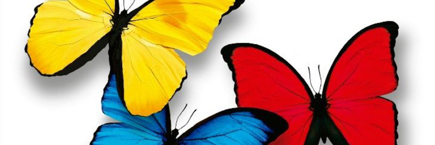 CalvoCrypto's profile banner image