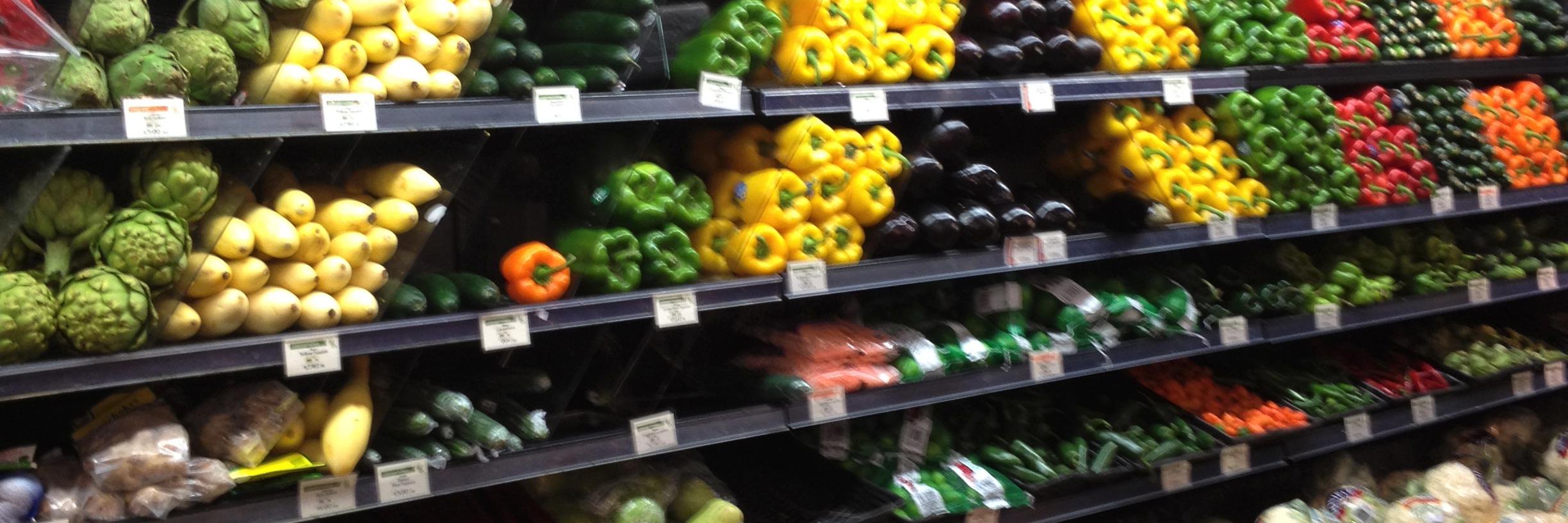 HealthyVegCoach banner