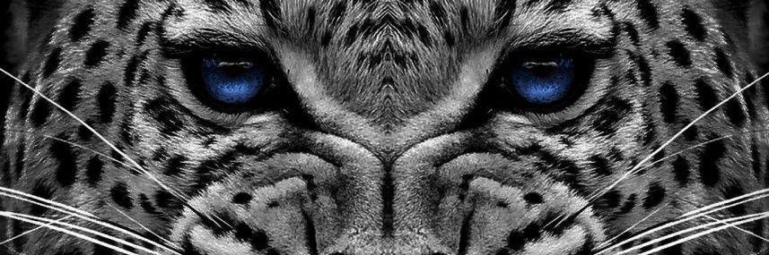 Leythdaz's profile banner image