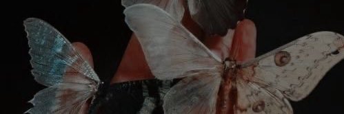 tatt_thnyp's profile banner image