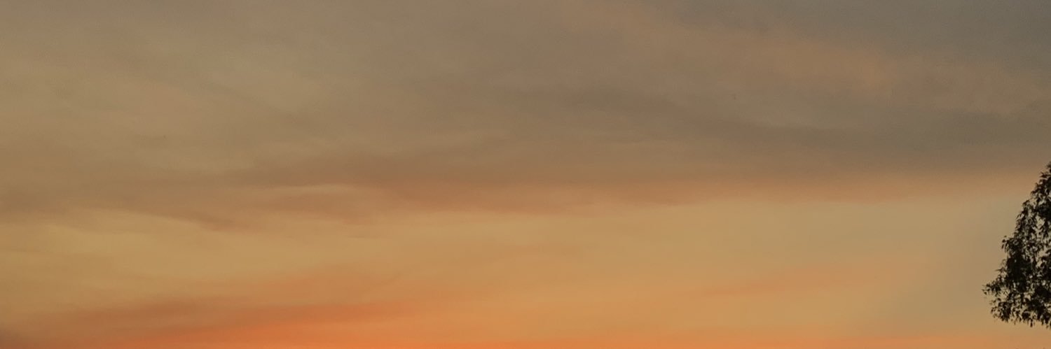 dewfahh's profile banner image