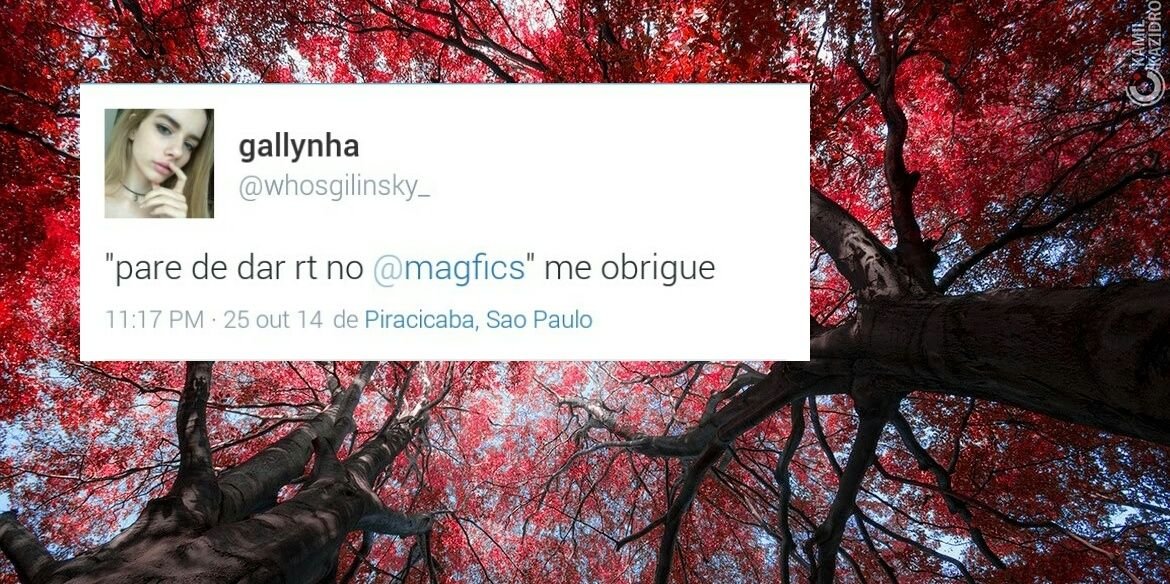 magfics's profile banner image