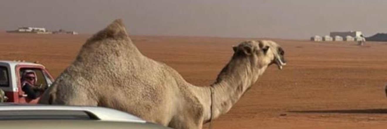 abdulziz116's profile banner image