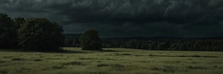 Heber_aburto's profile banner image