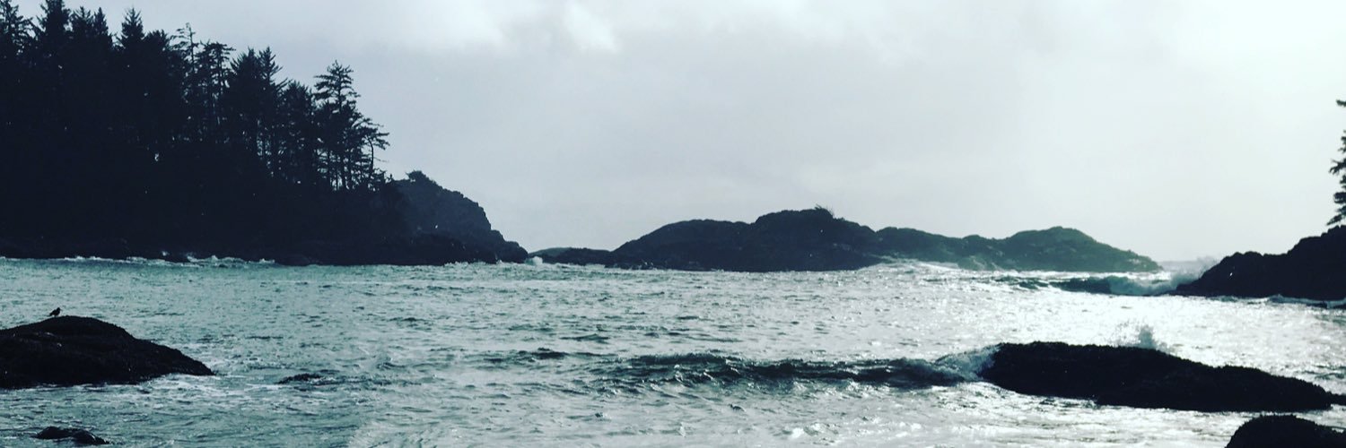 Colleen Minnabarriet banner