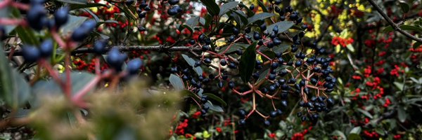 mpAR2001 Profile Banner